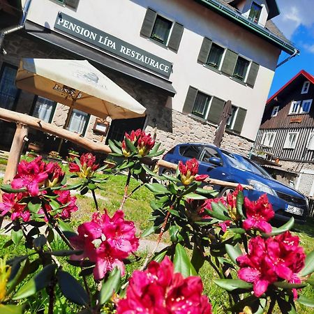 Pension Lipa Horní Maršov Εξωτερικό φωτογραφία