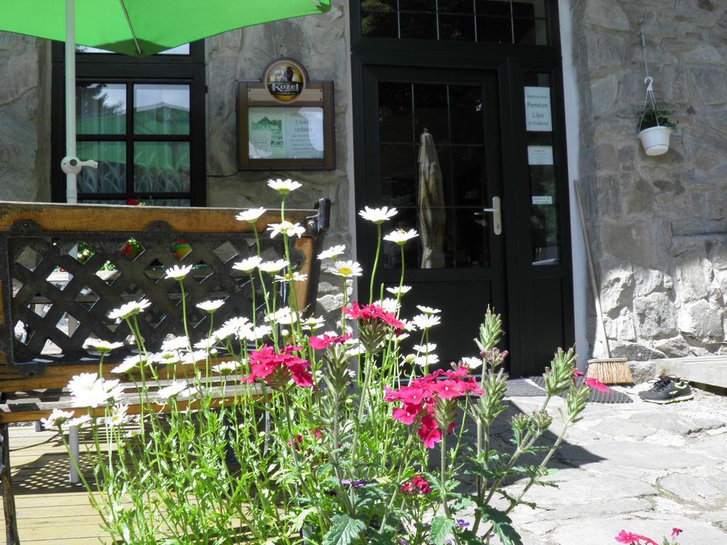 Pension Lipa Horní Maršov Εξωτερικό φωτογραφία